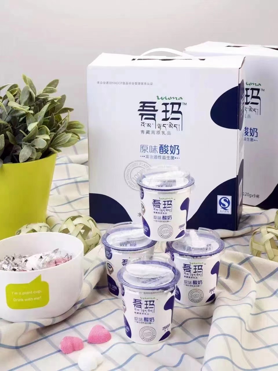 吾瑪原味酸奶